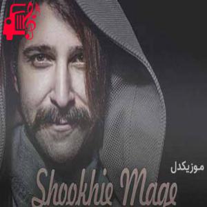 کاور آهنگ گر جان به جان من کنی جان و جهان من تویی از حمید هیراد + متن ترانه اثر حمید هیراد