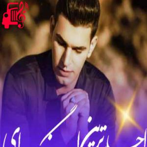 کاور آهنگ دل پیر از حمید شیراوند اثر حمید شیراوند