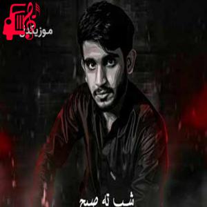 دانلود آهنگ آهنگ شب تا صبح از حمزه شهنوازی