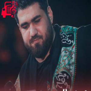 دانلود آهنگ آهنگ امام رضا قول داده میاد از حسن عطایی + متن ترانه