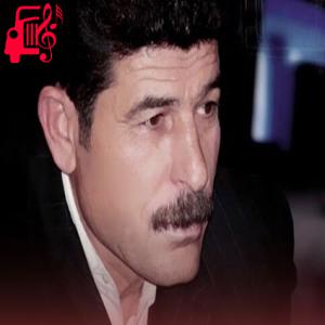کاور آهنگ دوست دیرم هناسکم از حسن هیاس + متن ترانه اثر حسن هیاس