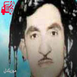 کاور آهنگ ای تو داری میوی از حسن زیرک + متن ترانه اثر حسن زیرک