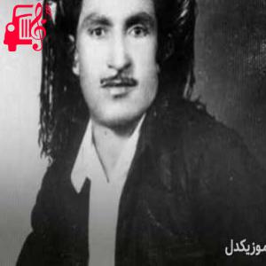 کاور آهنگ هر توم دوه از حسن زیرک + متن ترانه اثر حسن زیرک