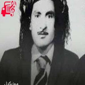 دانلود آهنگ آهنگ ناله شکینی از حسن زیرک + متن ترانه