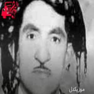 کاور آهنگ نامدوینی از حسن زیرک + متن ترانه اثر حسن زیرک