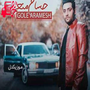 کاور آهنگ دل من نگران است من از صورت ماهت چه بگویم از حسام منعم + متن ترانه اثر حسام منعم