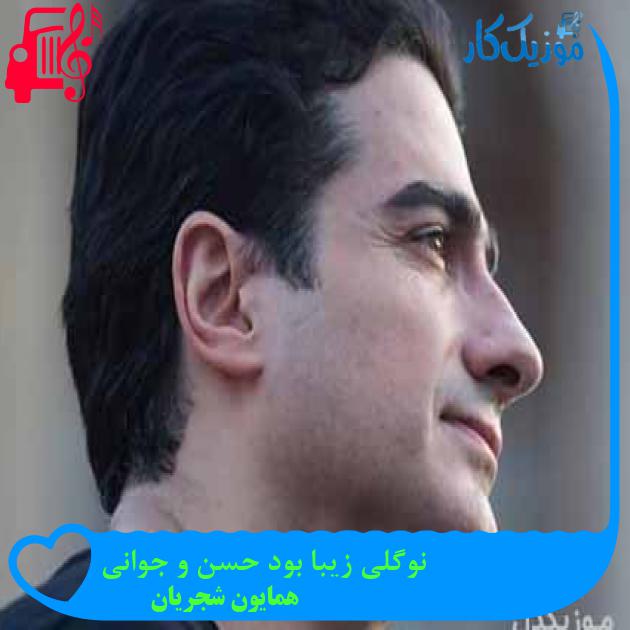 آهنگ نوگلی زیبا بود حسن و جوانی از همایون شجریان + متن ترانه آهنگ نوگلی زیبا بود حسن و جوانی از همایون شجریان + متن ترانه