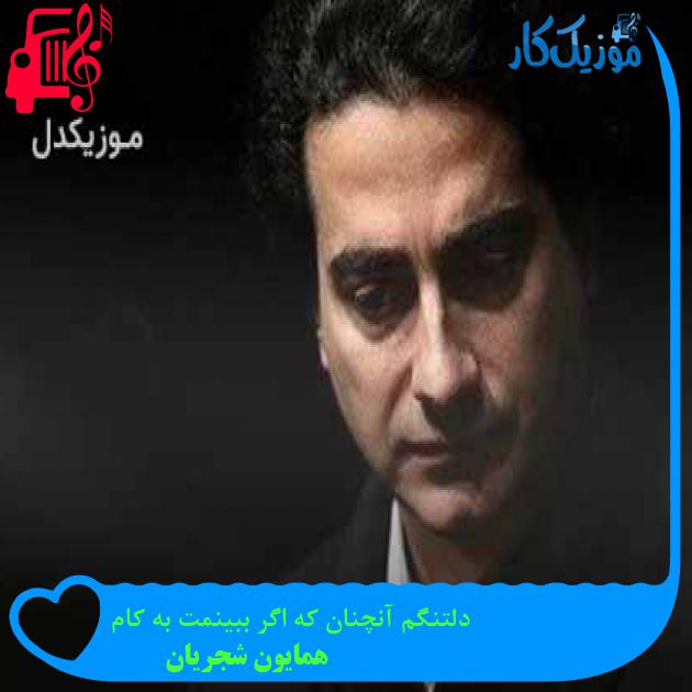 آهنگ دلتنگم آنچنان که اگر ببینمت به کام از همایون شجریان + متن ترانه آهنگ دلتنگم آنچنان که اگر ببینمت به کام از همایون شجریان + متن ترانه