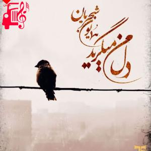 دانلود آهنگ آهنگ همچو یک خواب دل انگیز سحر از همایون شجریان + متن ترانه