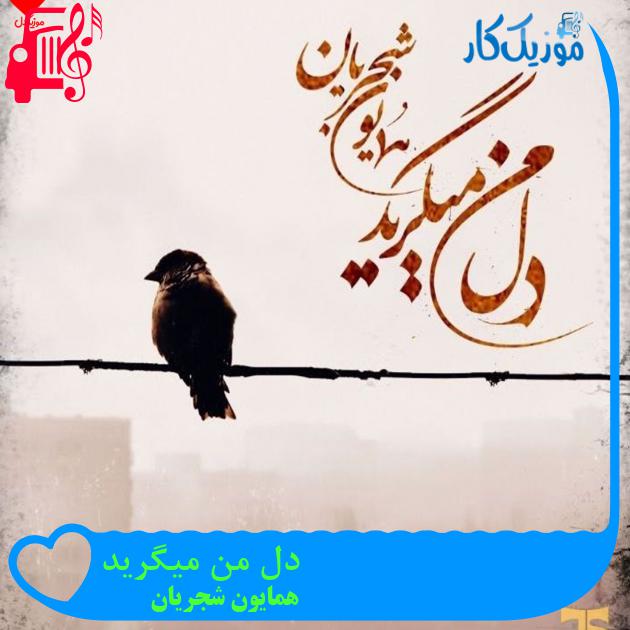 آهنگ همچو یک خواب دل انگیز سحر از همایون شجریان + متن ترانه آهنگ همچو یک خواب دل انگیز سحر از همایون شجریان + متن ترانه
