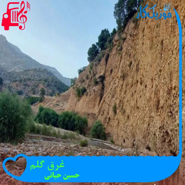 آهنگ غرق گلم از حسین حیاتی آهنگ غرق گلم از حسین حیاتی