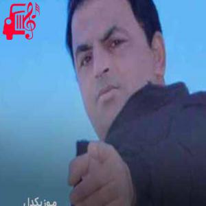 دانلود آهنگ آهنگ ببر گیلان از حسین رضایی + متن ترانه