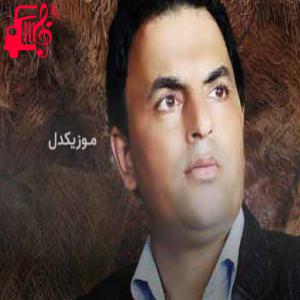 دانلود آهنگ آهنگ زیبای وحشی از حسین رضایی + متن ترانه