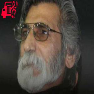 دانلود آهنگ آهنگ کجاست یار زینب از حسین سعادتمند + متن ترانه