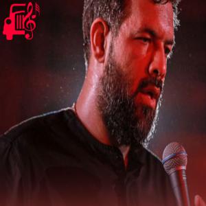 کاور آهنگ دلبر دل ها از حسین ستوده اثر حسین ستوده