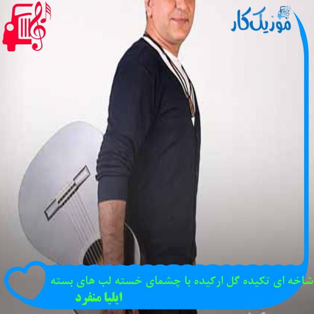 آهنگ شاخه ای تکیده گل ارکیده با چشمای خسته لب های بسته از ایلیا منفرد + متن ترانه