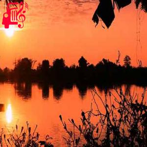 دانلود آهنگ آهنگ الو عشقم کجایی من خوابتو دیدم از ایمان استار + متن ترانه
