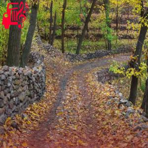 کاور آهنگ بی کلام لالالالا لالالالا اینستاگرام از موزیک کار اثر موزیک کار