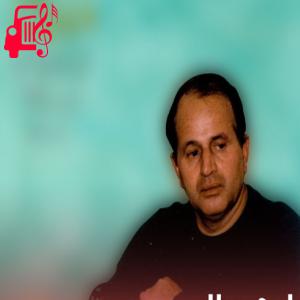 دانلود آهنگ آهنگ گل پونه های وحشی دشت امیدم از ایرج بسطامی + متن ترانه