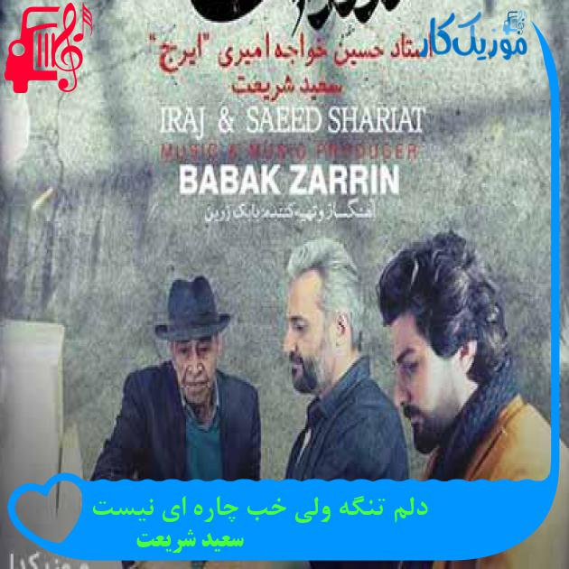 آهنگ دلم تنگه ولی خب چاره ای نیست از سعید شریعت + متن ترانه آهنگ دلم تنگه ولی خب چاره ای نیست از سعید شریعت + متن ترانه