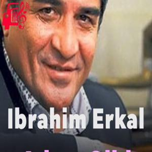 دانلود آهنگ آهنگ Adam Gibi از ابراهیم ارکال