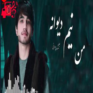 دانلود آهنگ آهنگ من نیم دیوانه از جلیل پروانی