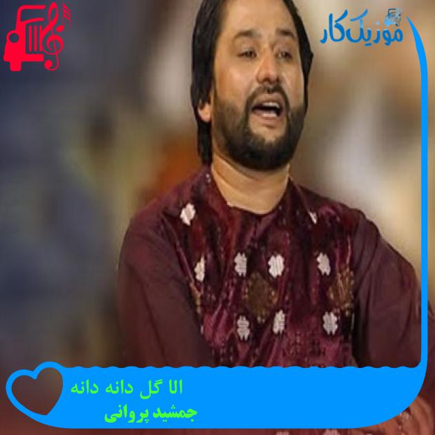 آهنگ الا گل دانه دانه از جمشید پروانی آهنگ الا گل دانه دانه از جمشید پروانی