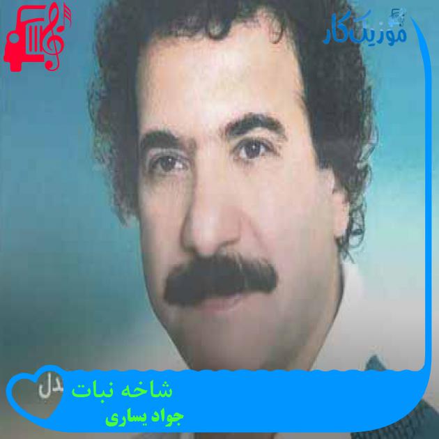 آهنگ شاخه نبات از جواد یساری + متن ترانه آهنگ شاخه نبات از جواد یساری + متن ترانه