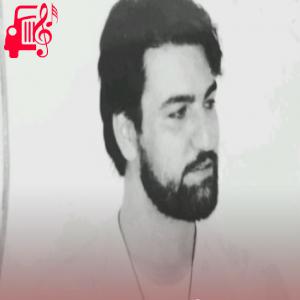 دانلود آهنگ آهنگ پرچم سرخ گنبدت دل منو خون میکنه از سید جواد ذاکر + متن ترانه