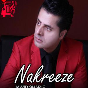 کاور آهنگ نکریزی از جاوید شریف اثر جاوید شریف