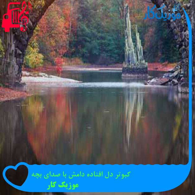 آهنگ کبوتر دل افتاده دامش با صدای بچه از موزیک کار
