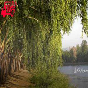 دانلود آهنگ آهنگ آشنای دردم از کریم طاهری + متن ترانه