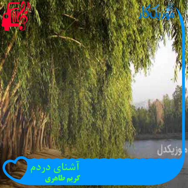 آهنگ آشنای دردم از کریم طاهری + متن ترانه آهنگ آشنای دردم از کریم طاهری + متن ترانه