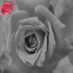 کاور آهنگ وقتی که تیات از وقتی که تیات + متن ترانه اثر وقتی که تیات