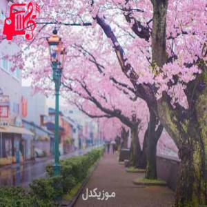 کاور آهنگ خداوندا تویی پناه بی پناهان از موزیک کار + متن ترانه اثر موزیک کار