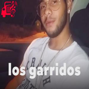 دانلود آهنگ آهنگ yo soy de los fernandez از los garridos + متن ترانه