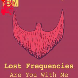 دانلود آهنگ آهنگ are you with me از Lost Frequencies + متن ترانه