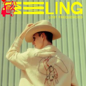 دانلود آهنگ آهنگ The Feeling از Lost Frequencies