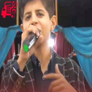 کاور آهنگ شبای پر ستارمی دلم به عشق تو خوشه از مهدی معصومی اثر مهدی معصومی