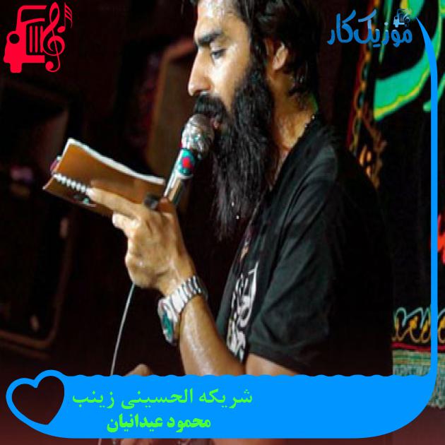 آهنگ شریکه الحسینی زینب از محمود عیدانیان + متن ترانه آهنگ شریکه الحسینی زینب از محمود عیدانیان + متن ترانه