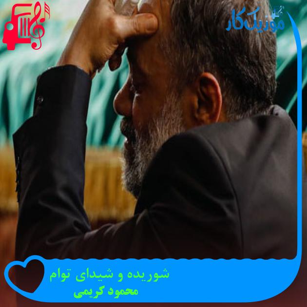 آهنگ شوریده و شیدای توام از محمود کریمی + متن ترانه آهنگ شوریده و شیدای توام از محمود کریمی + متن ترانه