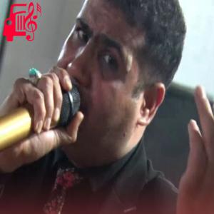 دانلود آهنگ آهنگ دم به دم از محمود تقی زاده