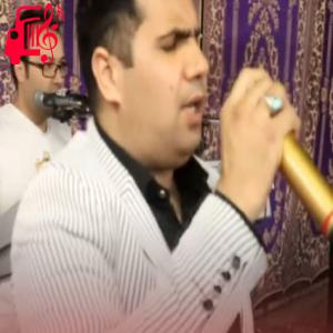 دانلود آهنگ آهنگ جوانی از محمود تقی زاده