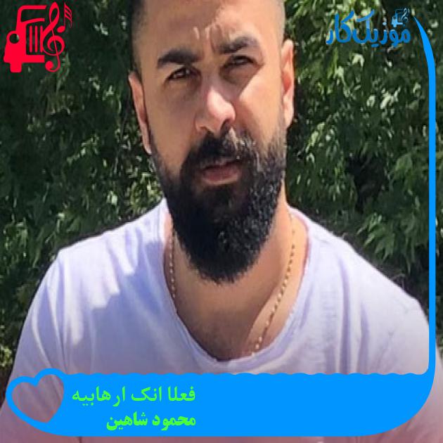 آهنگ فعلا انک ارهابیه از محمود شاهین