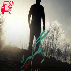 دانلود آهنگ آهنگ دلم گیره از مجید علیپور + متن ترانه