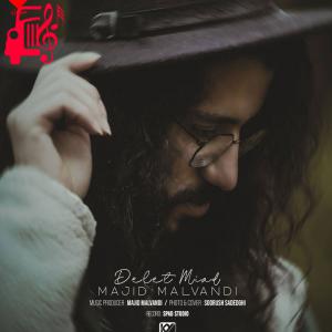 دانلود آهنگ آهنگ دلت میاد از مجید ملوندی + متن ترانه