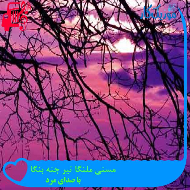 آهنگ مستی ملنگا تیر جته بنگا از با صدای مرد + متن ترانه