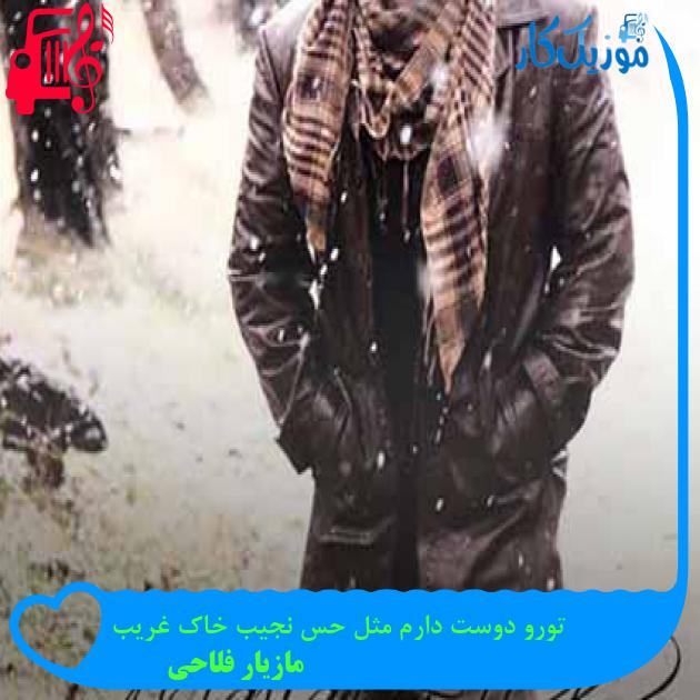 آهنگ تورو دوست دارم مثل حس نجیب خاک غریب از مازیار فلاحی + متن ترانه