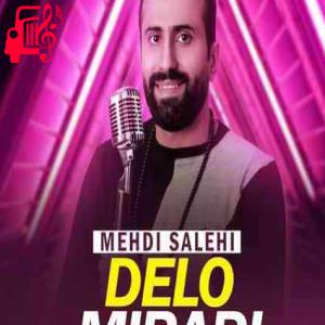دانلود آهنگ آهنگ عشقم انگار از اول اسمتو رو قلب من نوشتن از مهدی صالحی + متن ترانه