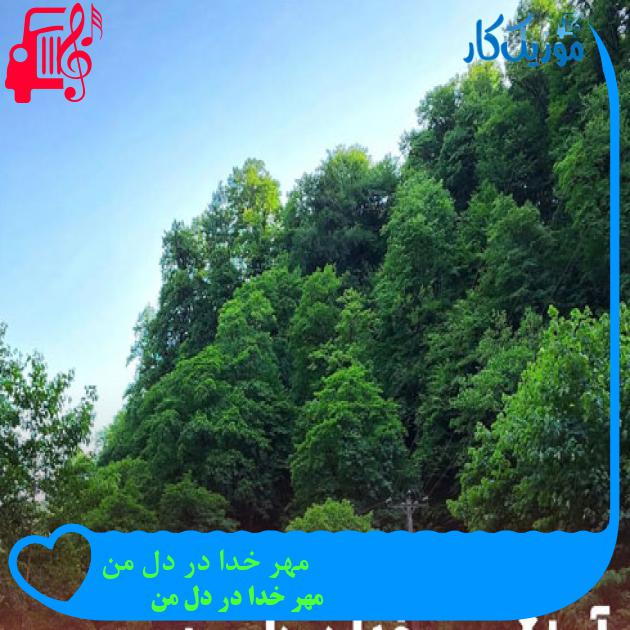 آهنگ مهر خدا در دل من از مهر خدا در دل من + متن ترانه آهنگ مهر خدا در دل من از مهر خدا در دل من + متن ترانه